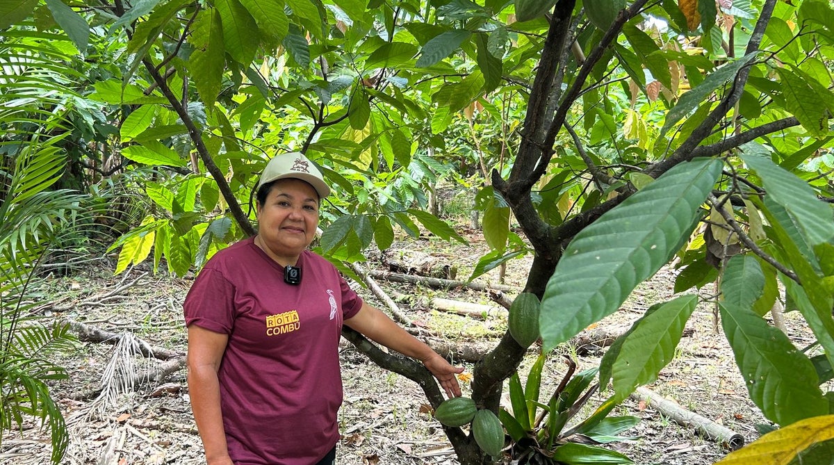 ‘Deeply disappointing’: Experts slam Cop30 for ignoring climate’s impact on food supply