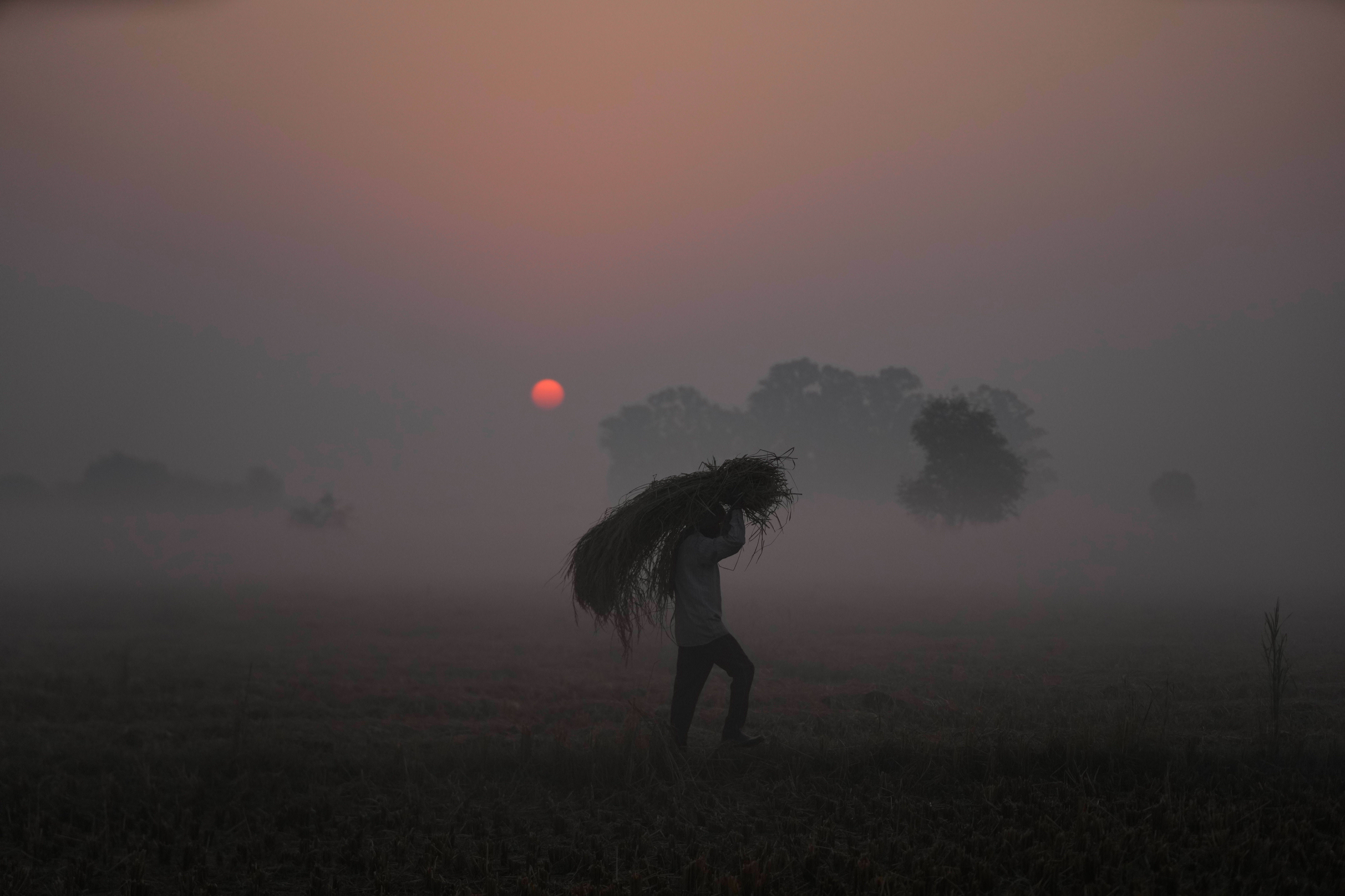 APTOPIX India Daily Life