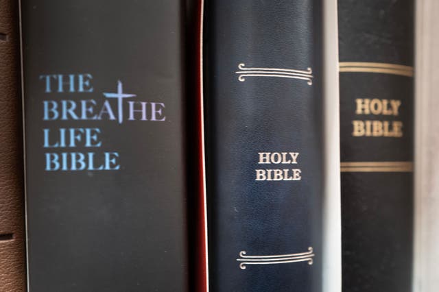 <p>Bible sales are up for all kinds — including kids’ Bibles</p>