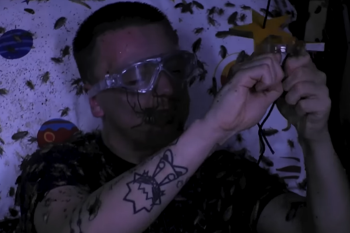 I’m a Celeb 2025 live: Return of Bushtucker trial favourite nears I’m a Celeb 2025 live: Return of Bushtucker trial favourite nears