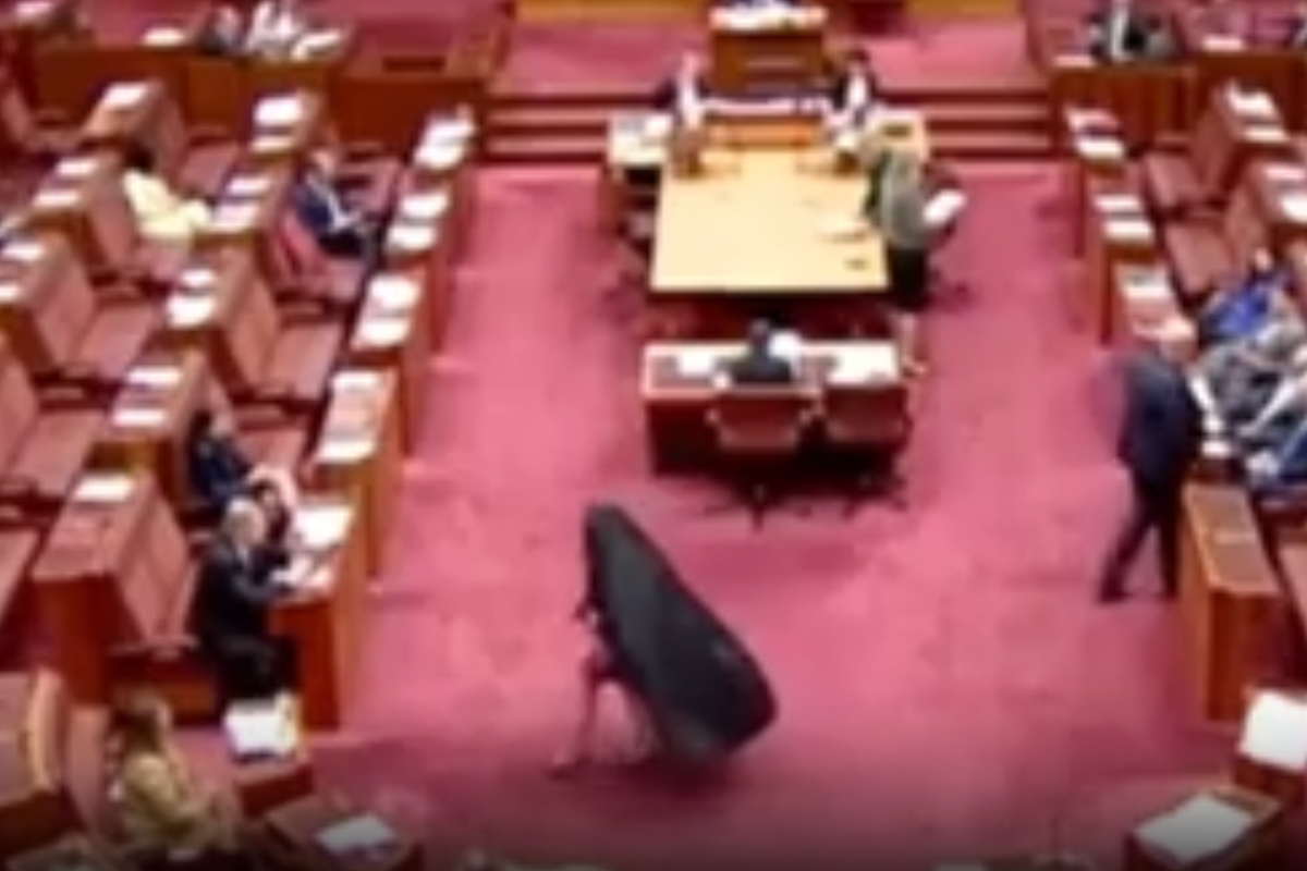 Australian far-right senator accused of ‘blatant racism’ after wearing burqa to parliament