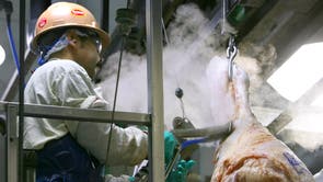 Beef Prices Things to Know