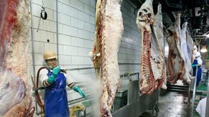 Beef Prices Things to Know