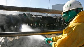 Beef Prices Things to Know