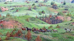 National Park-Scenic Road Reopens