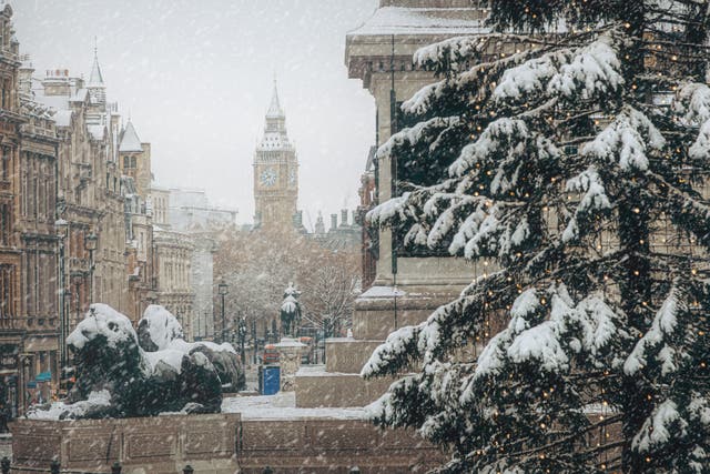 <p>A white Christmas is not on the cards this year, forecasters say</p>