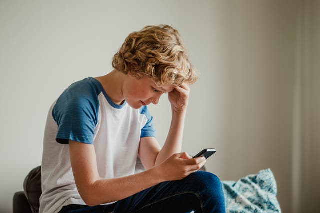 <p>25 per cent of teens have used AI chatbots to help with their mental health</p>