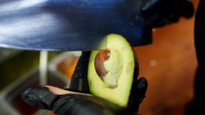 Gardening-Growing an Avocado