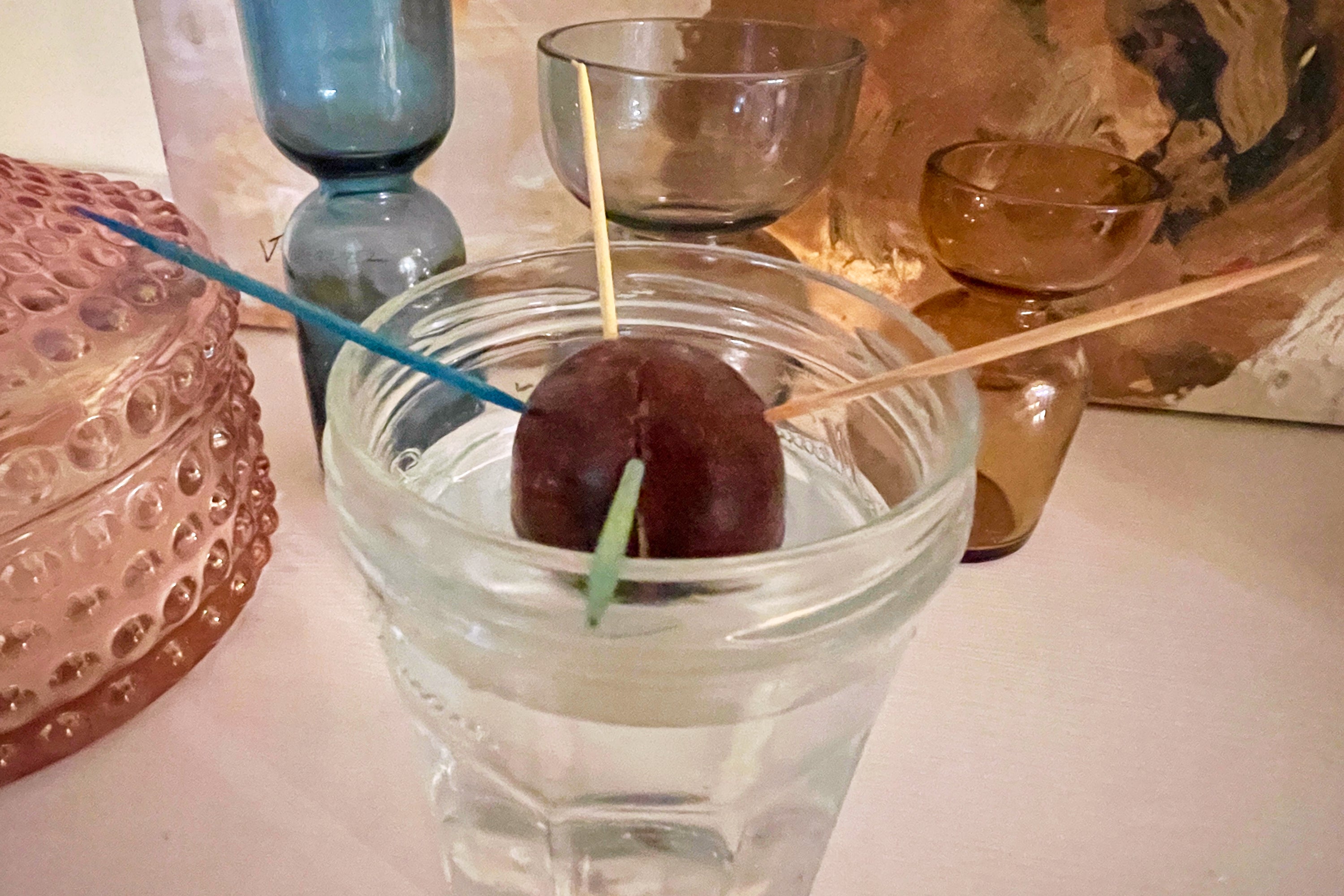 The first step in growing an avocado plant is to suspend its pip in a glass of water, as shown