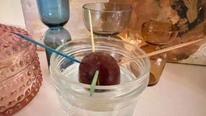 Gardening-Growing an Avocado