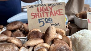 Climate Choices Grocery Alternatives