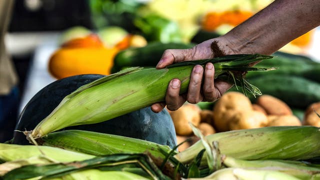 Climate Choices Grocery Alternatives