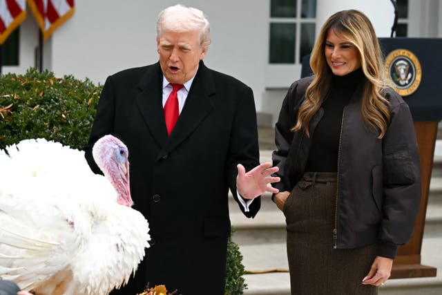 <p>Donald Trump has repeatedly bragged about the low cost of turkey, as experts warn that prices are about to soar</p>