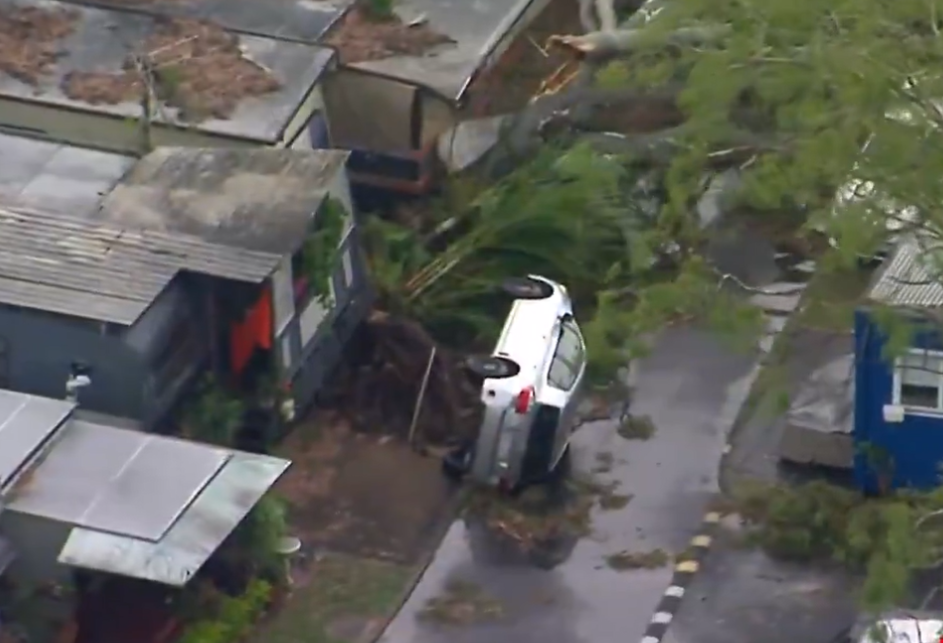 Fallen trees lie on a road as storms lash Queensland