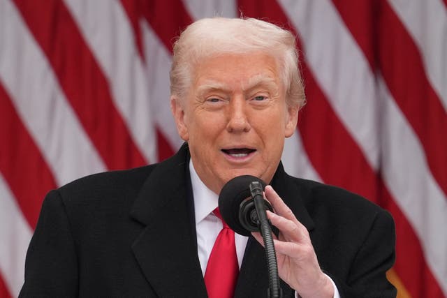 <p>President Donald Trump</p>