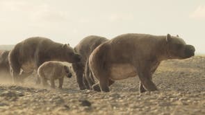 TV-Prehistoric Planet