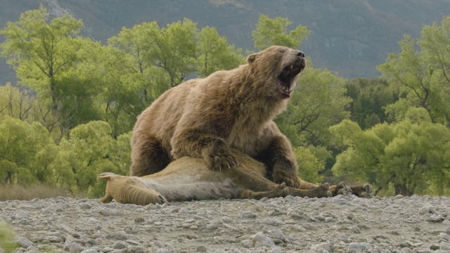 TV-Prehistoric Planet