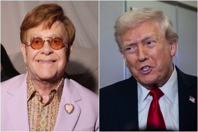 <p>Elton John said Trump could help end AIDS: 'That would really be a feather in his cap'</p>