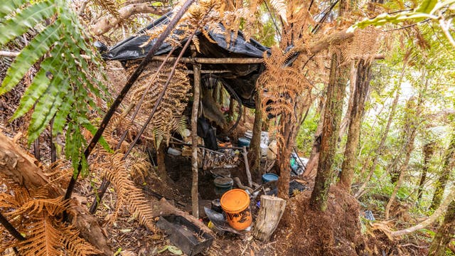 New Zealand Missing Family