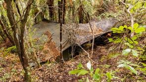 New Zealand Missing Family