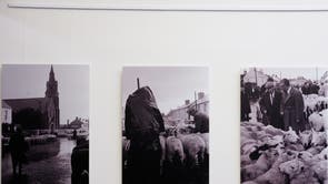 Germany Ireland Exhibition