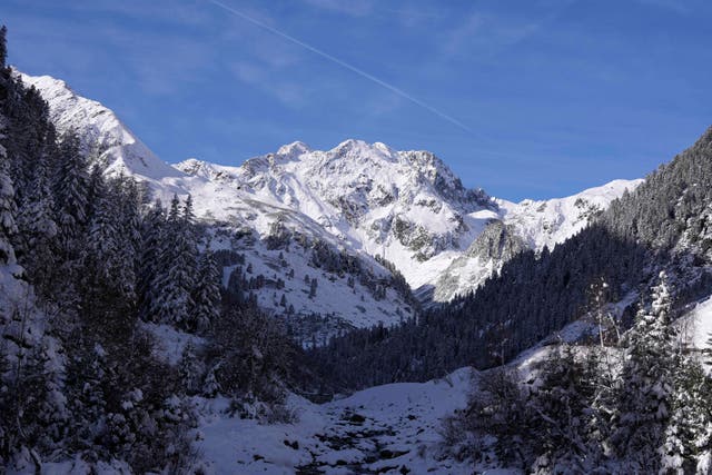 <p>Austria Avalanche</p>