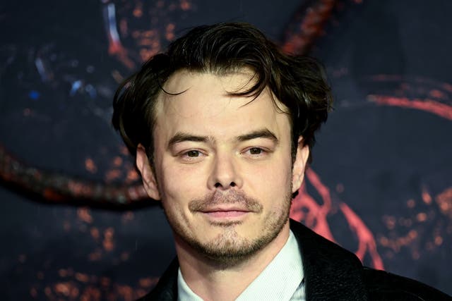 <p>Charlie Heaton interpreta a Jonathan Byers en Stranger Things de Netflix</p>
