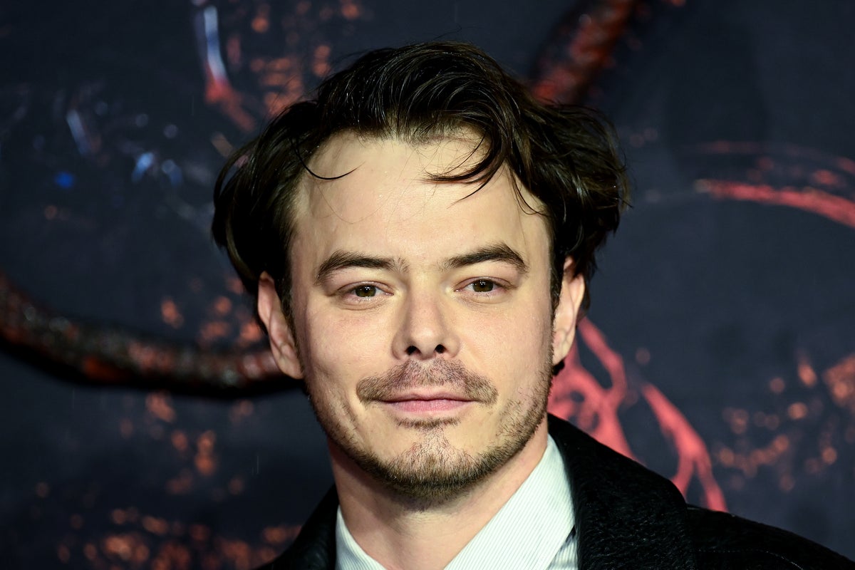Stranger Things star Charlie Heaton makes rare comment about becoming father at 20 Stranger Things star Charlie Heaton makes rare comment about becoming father at 20