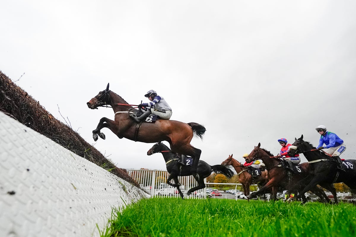 Newbury tips: Best bets and odds for Friday’s racing
