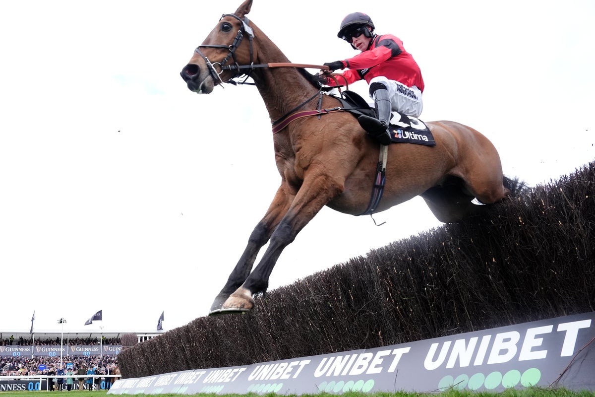 Newcastle and Newbury tips: Best bets for Saturday’s racing