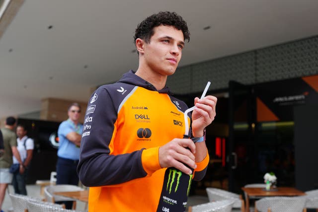 Lando Norris was fastest in practice for the Qatar Grand Prix (David Davies/PA)