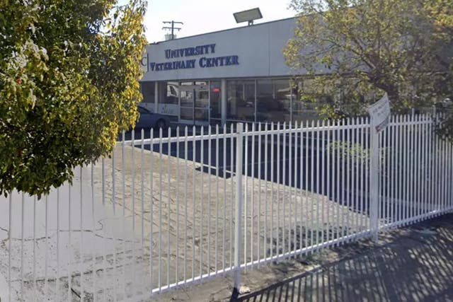 <p>The incident happened at a veterinary clinic in Anaheim, Orange County (file photo)</p>