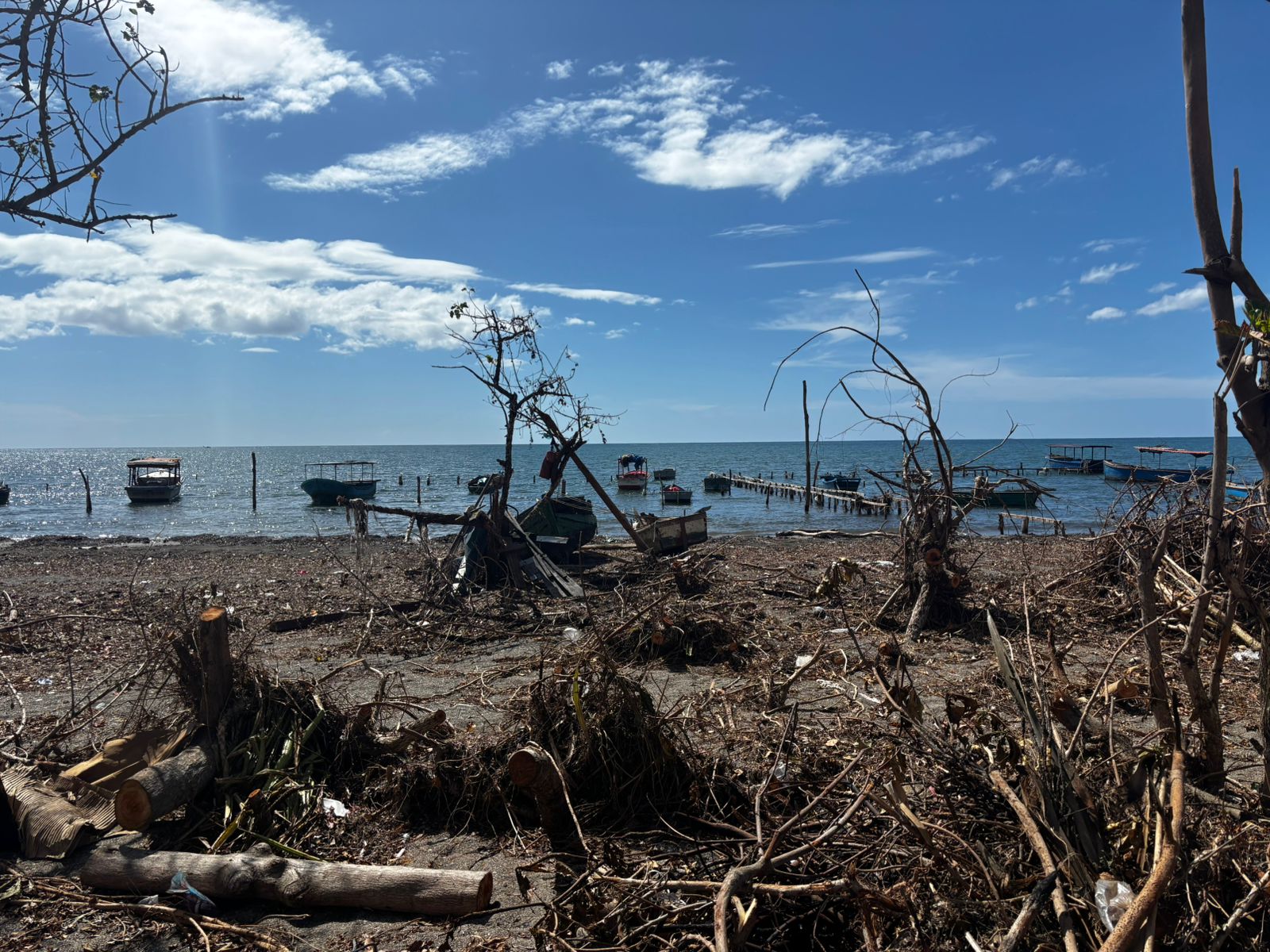 Cuba needs international support, the Red Cross has urged