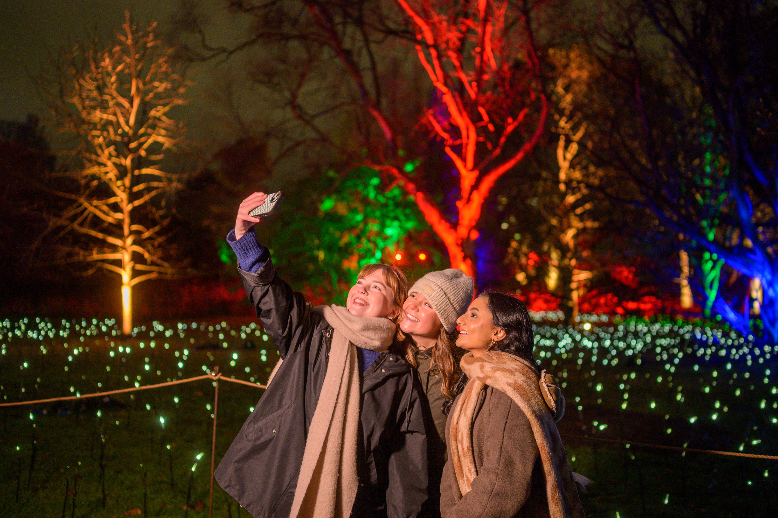 See the botanics lit up in Edinburgh this festive season