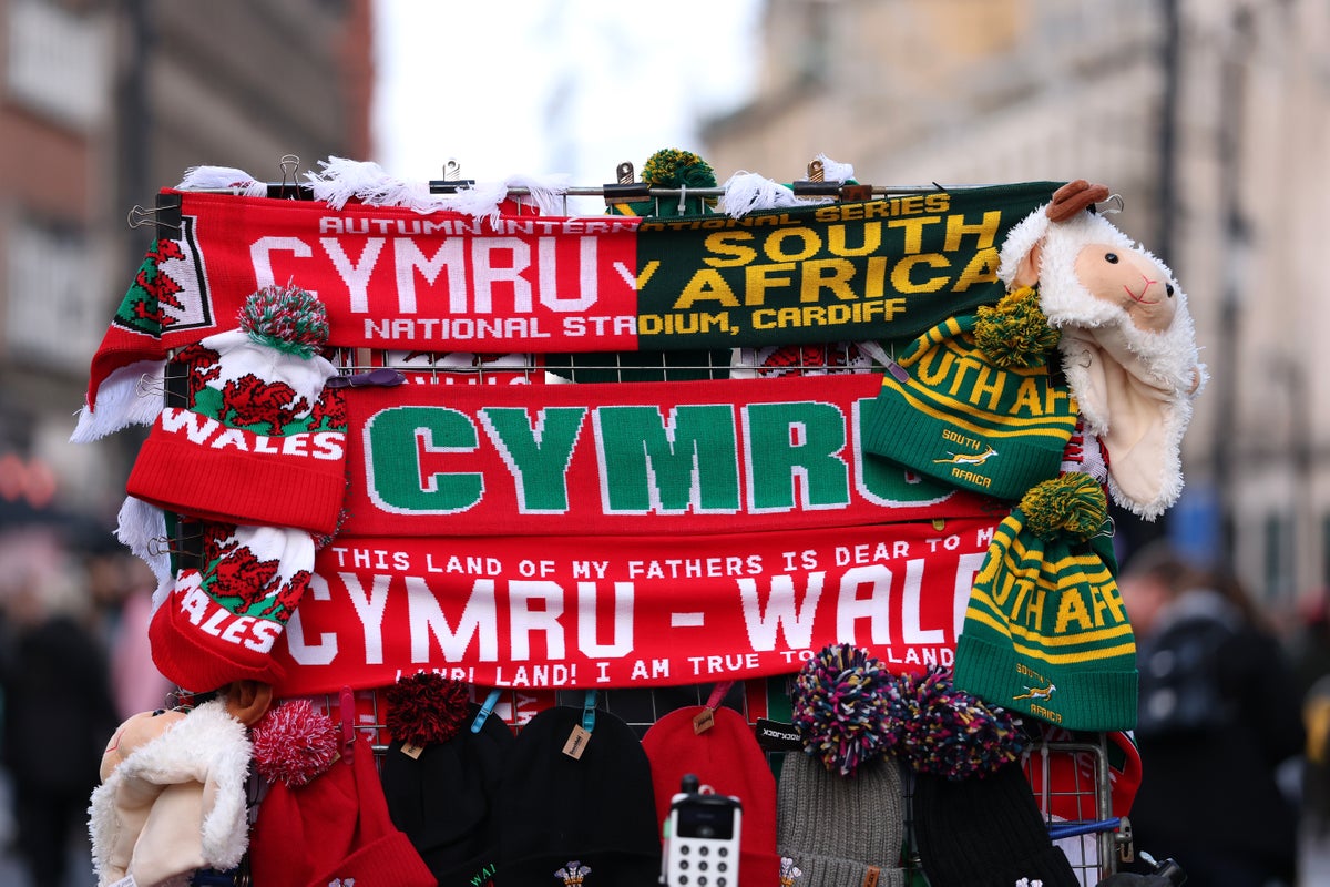 Wales vs South Africa live: Dominant Springboks extend advantage in clash with weakened hosts