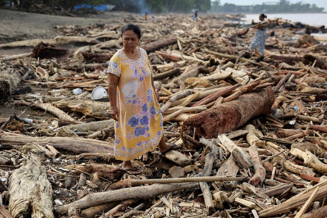 <p>A woman stands amidst tree trunks that were stranded on a shore following deadly flash floods and landslides, in Padang, West Sumatra province, Indonesia</p>