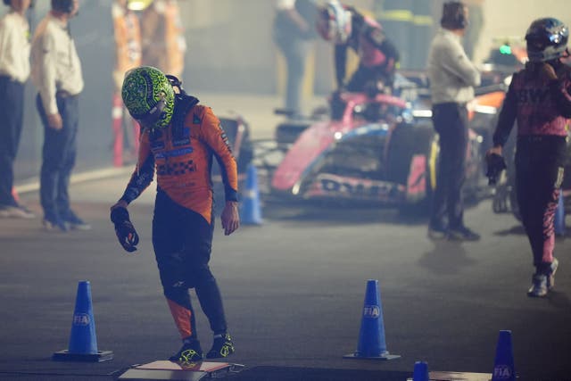 <p>McLaren driver Lando Norris will have to wait for his title shot (David Davies/PA)</p>