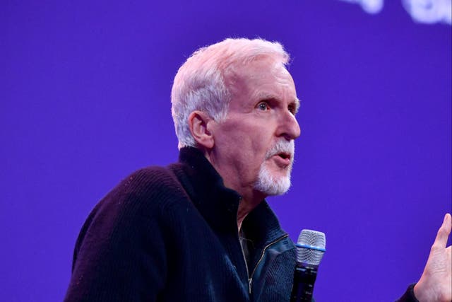 <p>James Cameron speaks about the making of the third Avatar film on November 20, 2025</p>