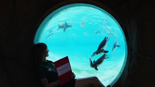 YE Global Best of 2025 Photo Gallery