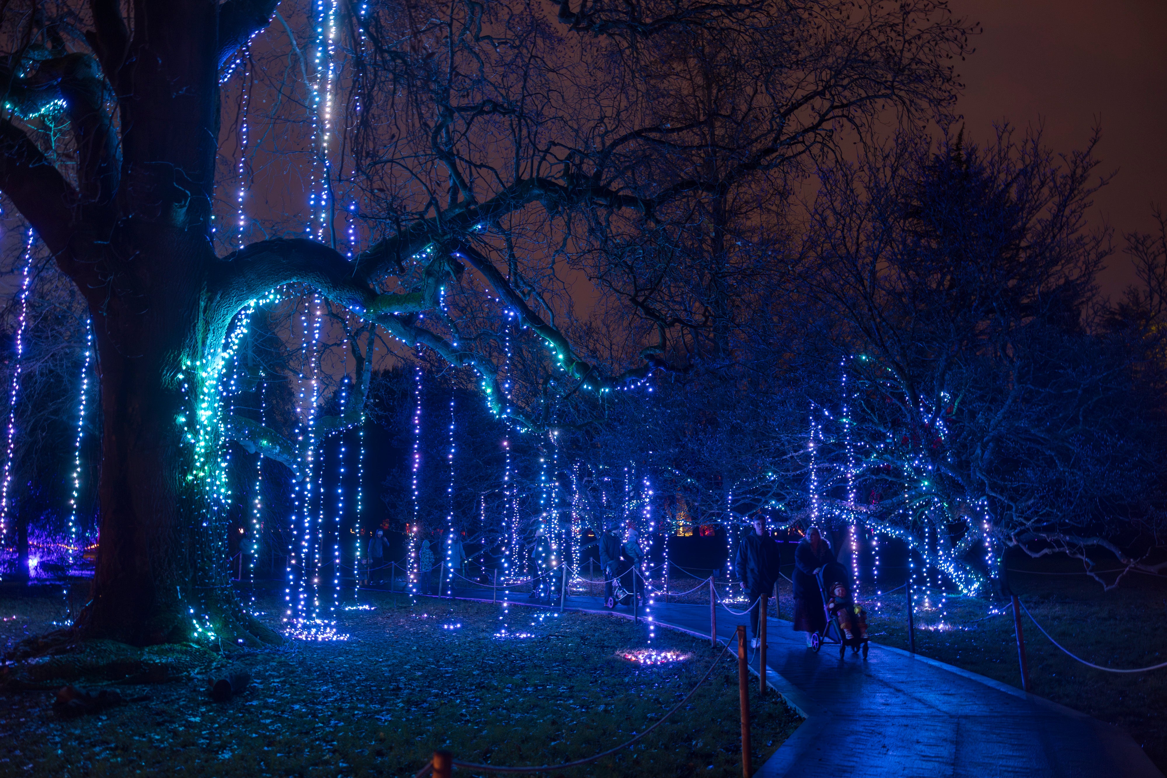 Cardiff’s winter illuminations has returned for a fifth time