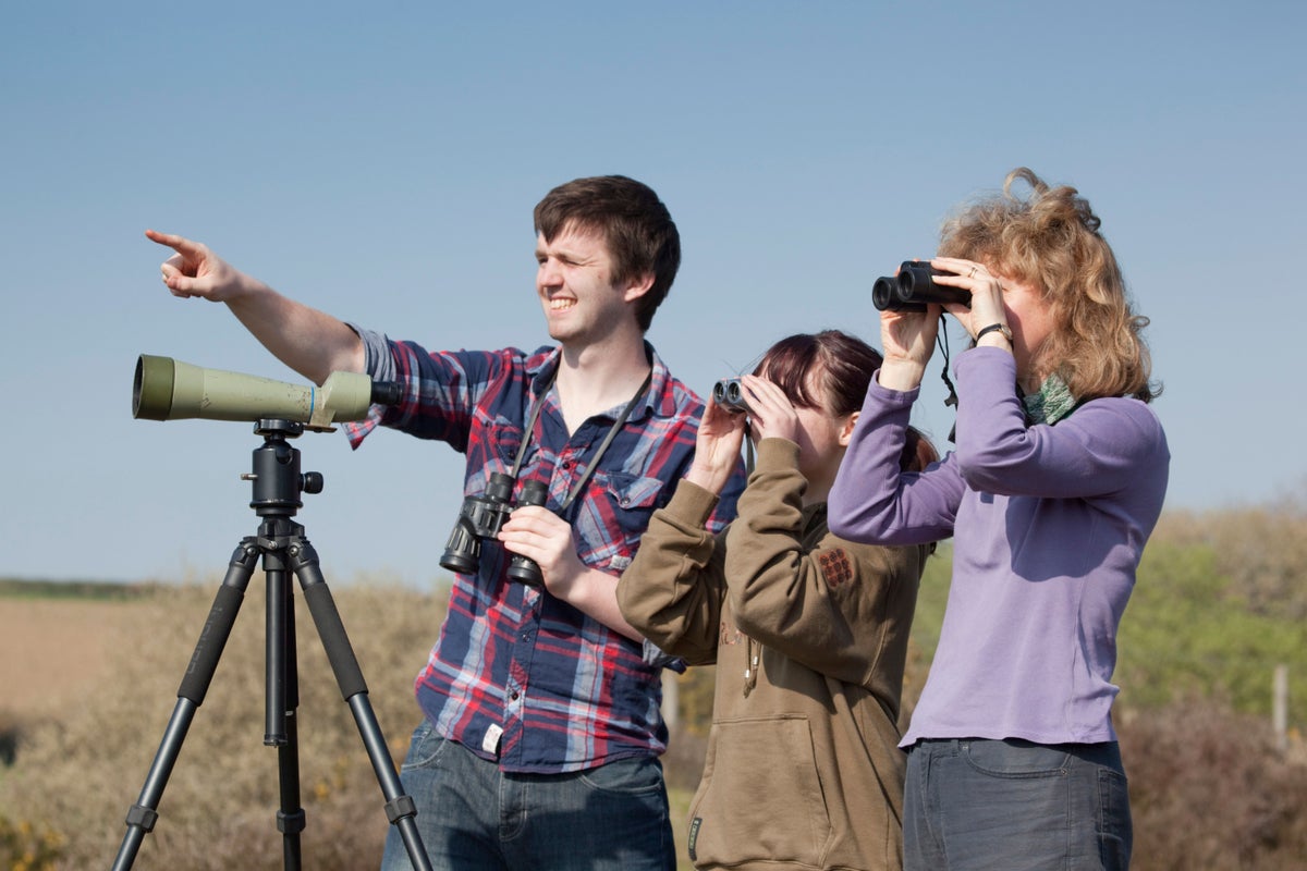 The best bird-watching holidays for 2026 in UK and abroad