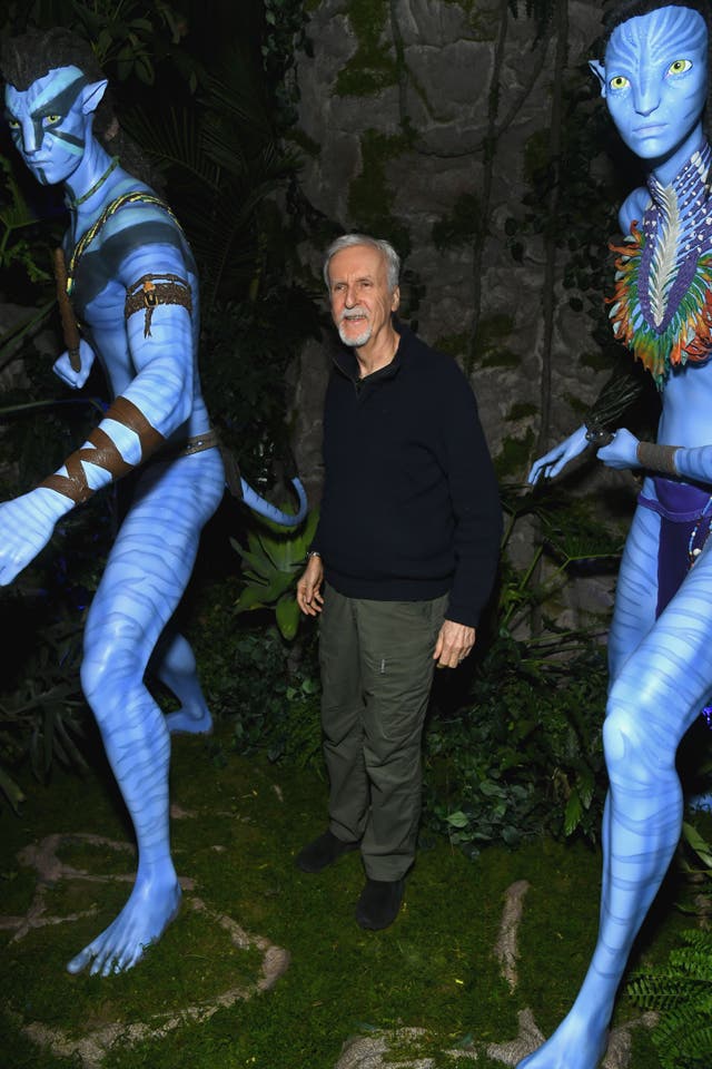 <p>James Cameron at a Special Screening and for ‘Fire and Water: Making the Avatar Films’</p>