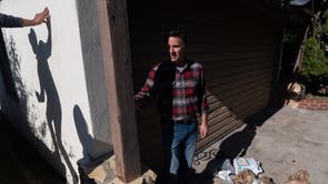 California Bear Under House