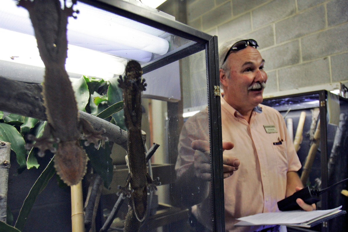 Surging exotic pet trade sparks calls for tighter crackdown