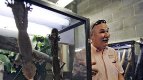 International Pet Trade