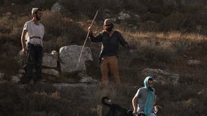 West Bank Settler Violence