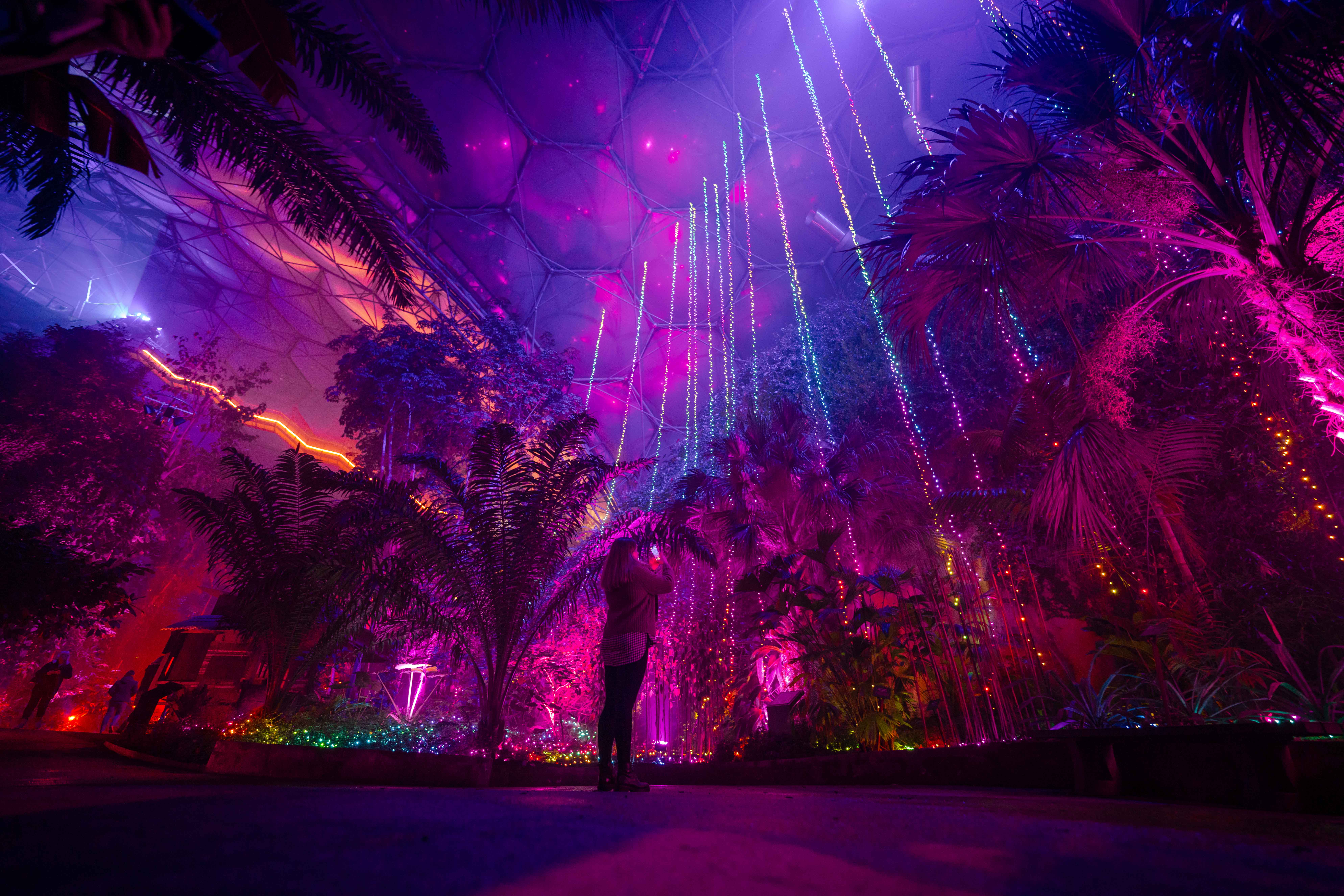 Escape to a wonderland inside the Eden Project’s biomes