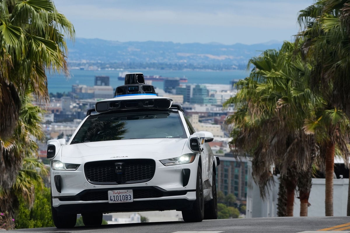 Waymo hits dog in San Francisco just weeks after beloved cat was killed by driverless taxi