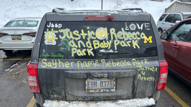 Missing Woman Michigan