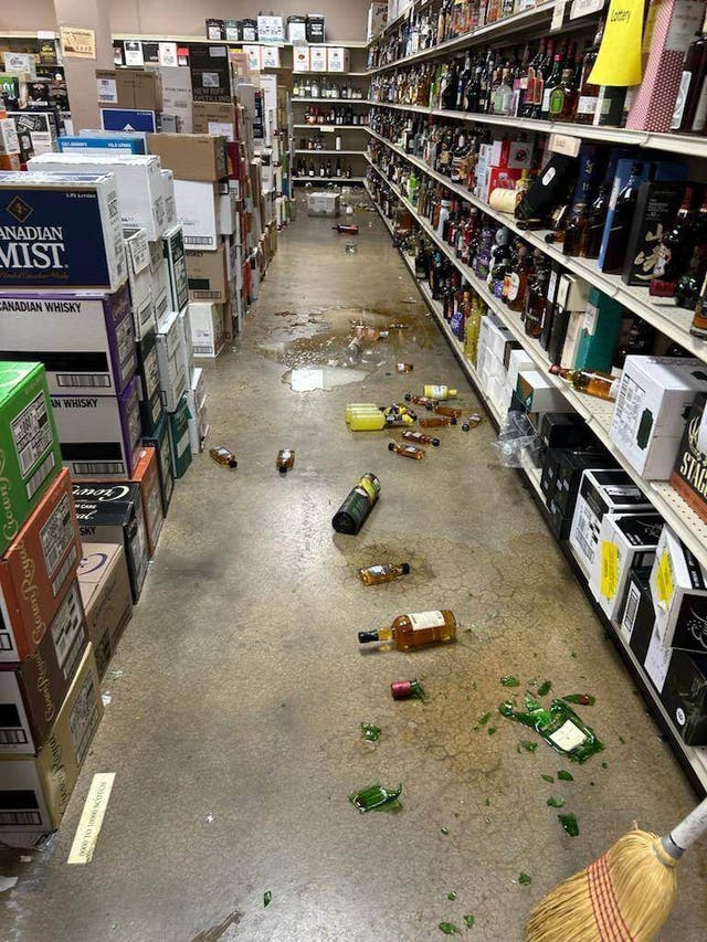‘Trashed panda’ to the rescue! Raccoon who passed out drunk in liquor ...